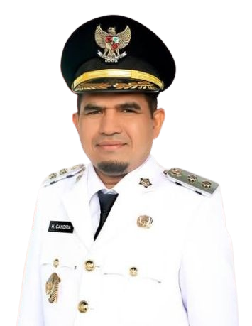 Wakil Bupati